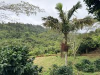 FreedomFarms